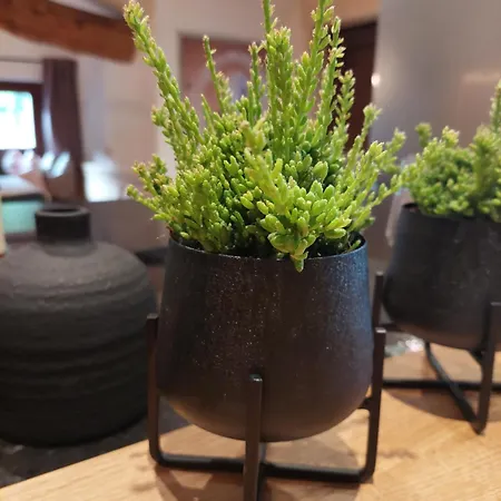 Aignerhof Lägenhet *