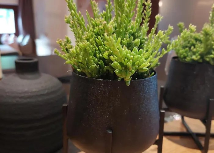 Aignerhof Apartment *